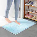 Mud Buddy - Mud stopping floor mat